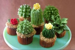 Succulent cupcakes