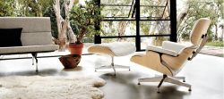 Eames Lounge Chair and Ottoman