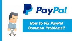 How to Fix PayPal Common Problems?