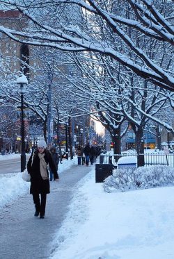 Winter in Toronto