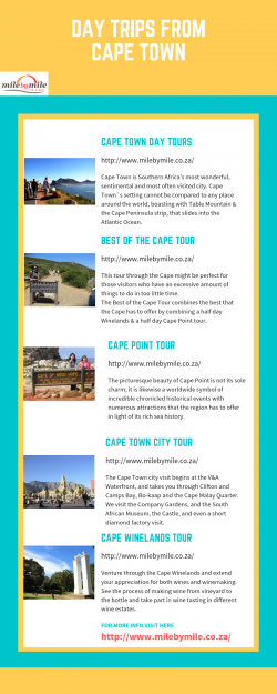 Day Trips From Cape Town | Milebymile