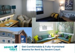 Get Comfortable & Fully-Furnished Rooms for Rent by Severn Court