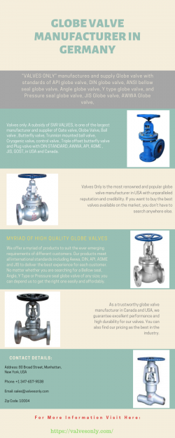 Globe Valve Manufacturer in Germany | Valvesonly