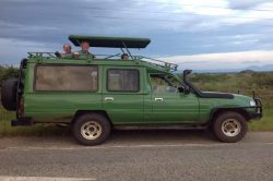 Game drives with Devine African Safaris