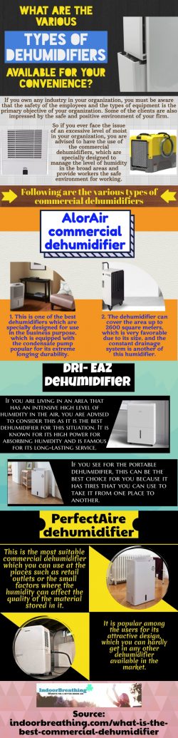 Tips that you can consider for getting the best dehumidifier