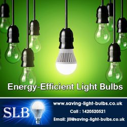 Energy-Efficient Light Bulbs