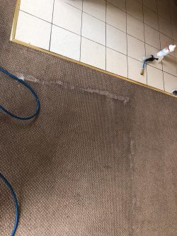 Domestic Carpet Cleaning