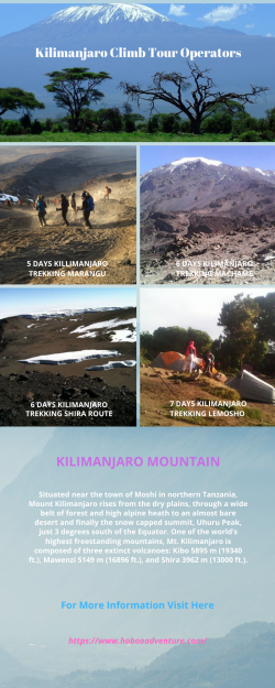 Kilimanjaro Climb Tour Operators