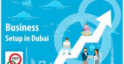 Pro Services in Dubai