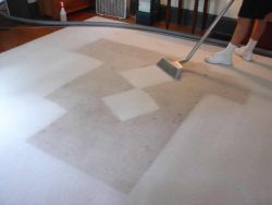 Rug Cleaning And Maintenance