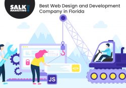 Salk Marketing – Best Web Design and Development Company in Florida