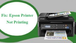 Fix: Epson Printer Not Printing