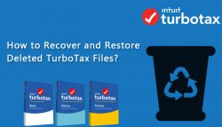 How can I view my Deleted TurboTax Files?