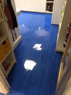 Marmoleum Floor Cleaning