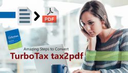 Amazing Steps to Convert TurboTax tax2pdf