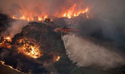 australia bushfire