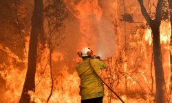 Australia Bushfires