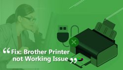 Fix: Brother Printer Not Working Issue