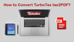 How to Convert TurboTax tax2PDF?