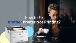 How to Fix Brother Printer Not Printing?