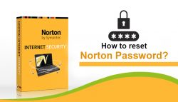 How to Reset Norton Password?