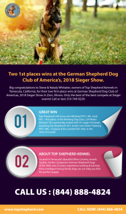 Two 1st places wins at the German Shepherd Dog Club of America’s, 2018 Sieger Show