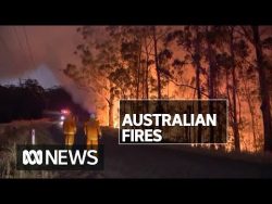 Australia Bushfires