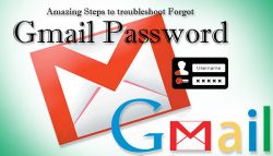 Amazing Steps to troubleshoot Forgot Gmail Password