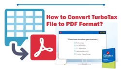 How to Convert TurboTax File to PDF Format?