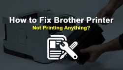 How to Fix Brother Printer Not Printing Anything?