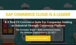 SAP Commerce Cloud