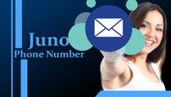 How to Fix Juno Email Not Working On iPhone?