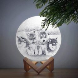 Personalized Creative 3D Print photo Moon Lamp