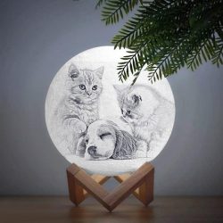 photo moon lamp