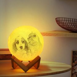 photo moon lamp