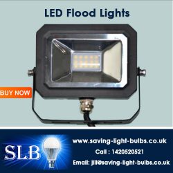 LED Flood Lights at Saving Light Bulbs