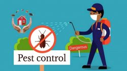 Pest Control Services British Columbia Canada Methods – Most Common