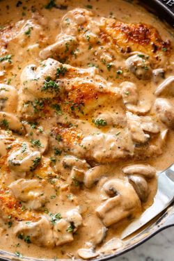 Chicken Stroganoff