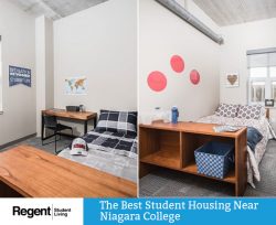 Regent Student Living – The Best Student Housing Near Niagara College