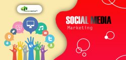 Promote your online business with the best Social media service by Design Host