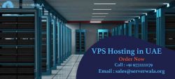 Fully Managed VPS Hosting in UAE