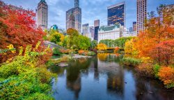 Autumn in New York