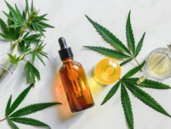 CBD TINCTURES AND CBD OILS; WHAT’S THE DIFFERENCE