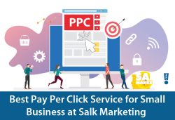 Best Pay Per Click Service for Small Business at Salk Marketing