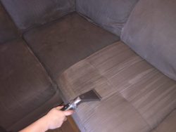 Your Sofa Needs Quality Care Too