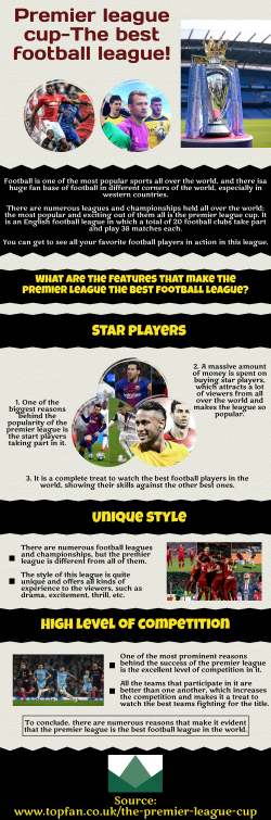 Detailed Information About the Competition Format of Premier League