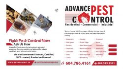 Pest Control Langley