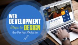 Web Development & Leader Skills – Mike Brassil NY