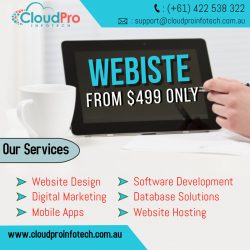 SEO services in Adelaide