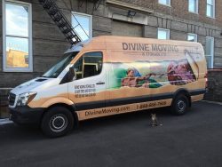 Divine Moving and Storage NYC